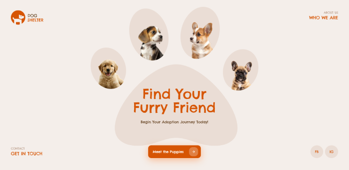 Pet Shelter Showcase Hero Section Template