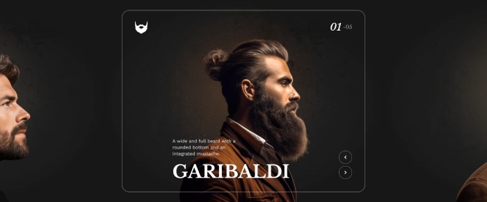 Professional Beard Gallery Carousel